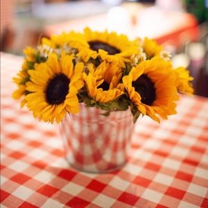 Meet your Posher, Lola